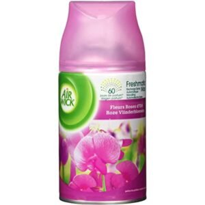 AIRWICK Nachfüller Pinke Schmetterlingsblüte" für Freshmatic Max - 250ml"